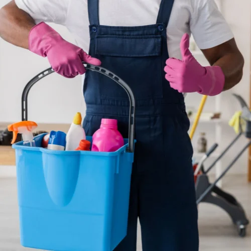 Cleaning Service Wellesley (1)