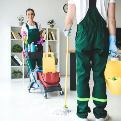 Home Cleaning Service Waltham