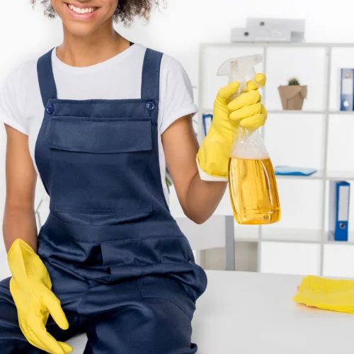 Professional Cleaning Service Dedham