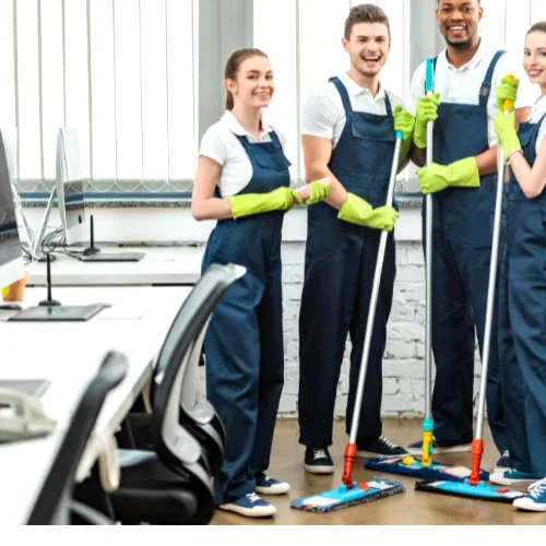 Professional Cleaning Service Wellesley