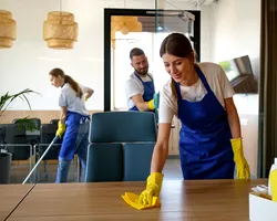 home Cleaning service boston