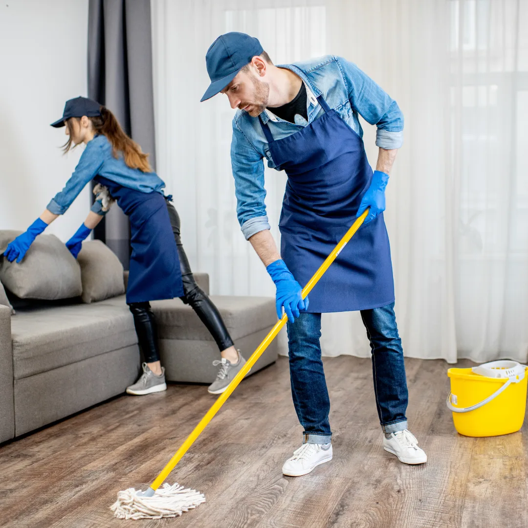 professional house cleaning service organizing home